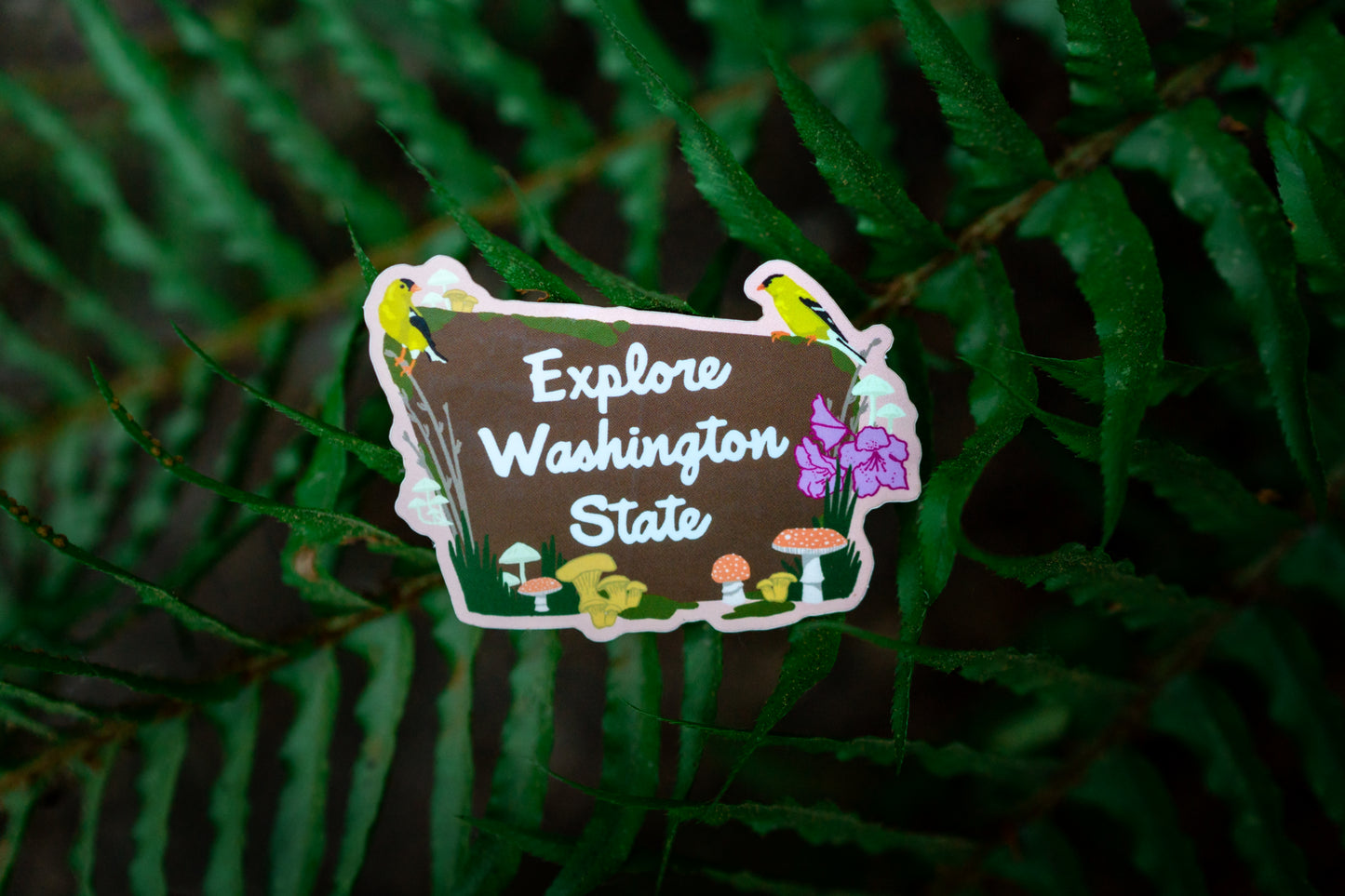 Retro Explore Washington State Sticker (pack of 5)